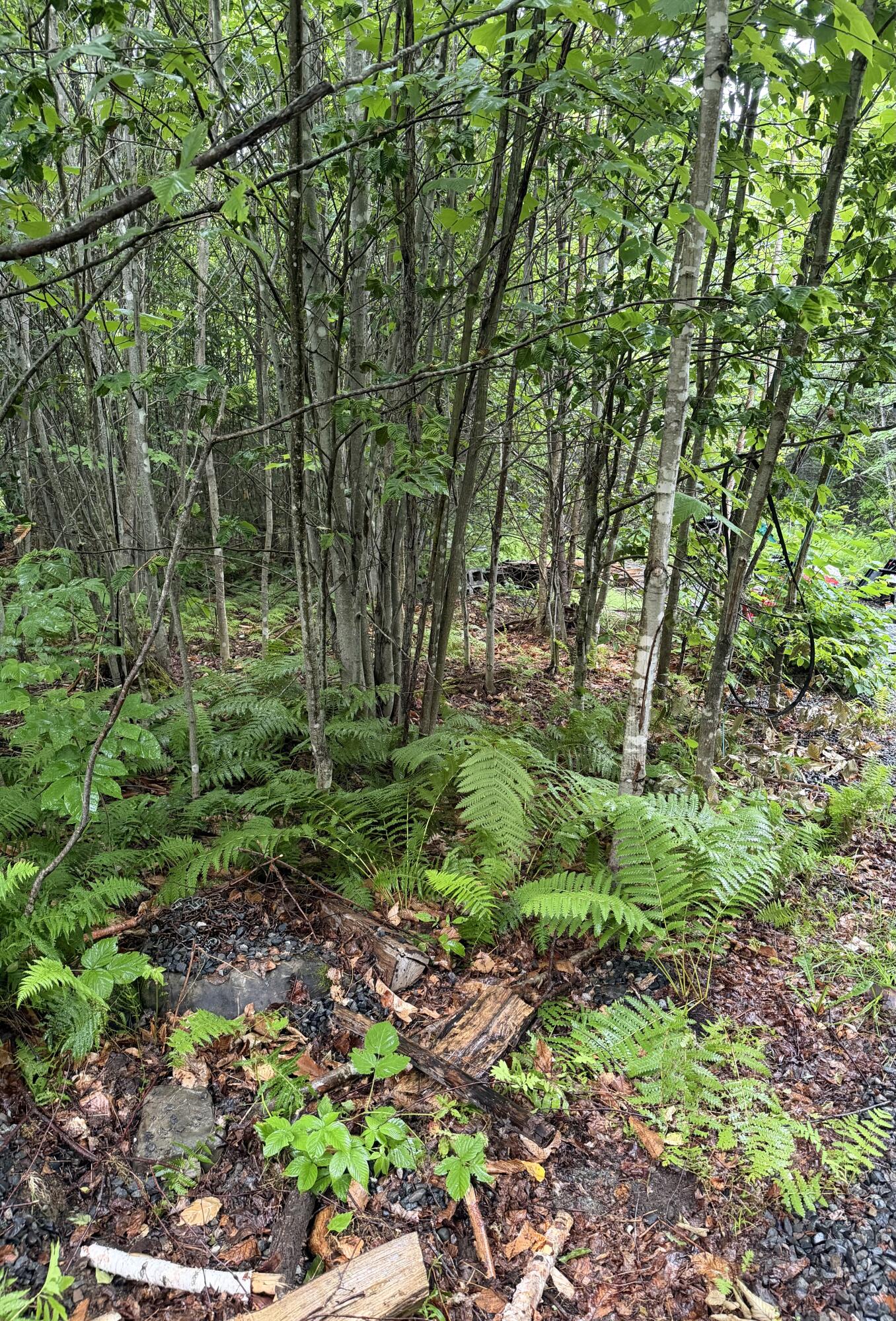 4 Kolm Lane Sebec, ME 04481 - Photo 5 of 7 IMG_4245