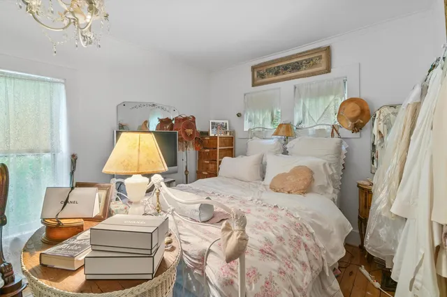 a view of a yard with plants and large trees