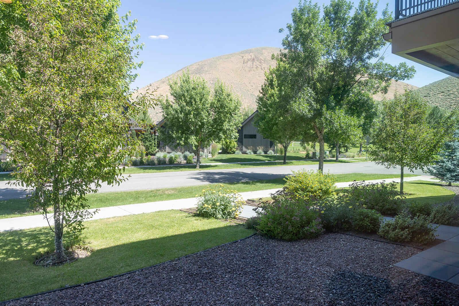 980 Cutters Drive Hailey, ID 83333 - Photo 54 of 56 Front yard
