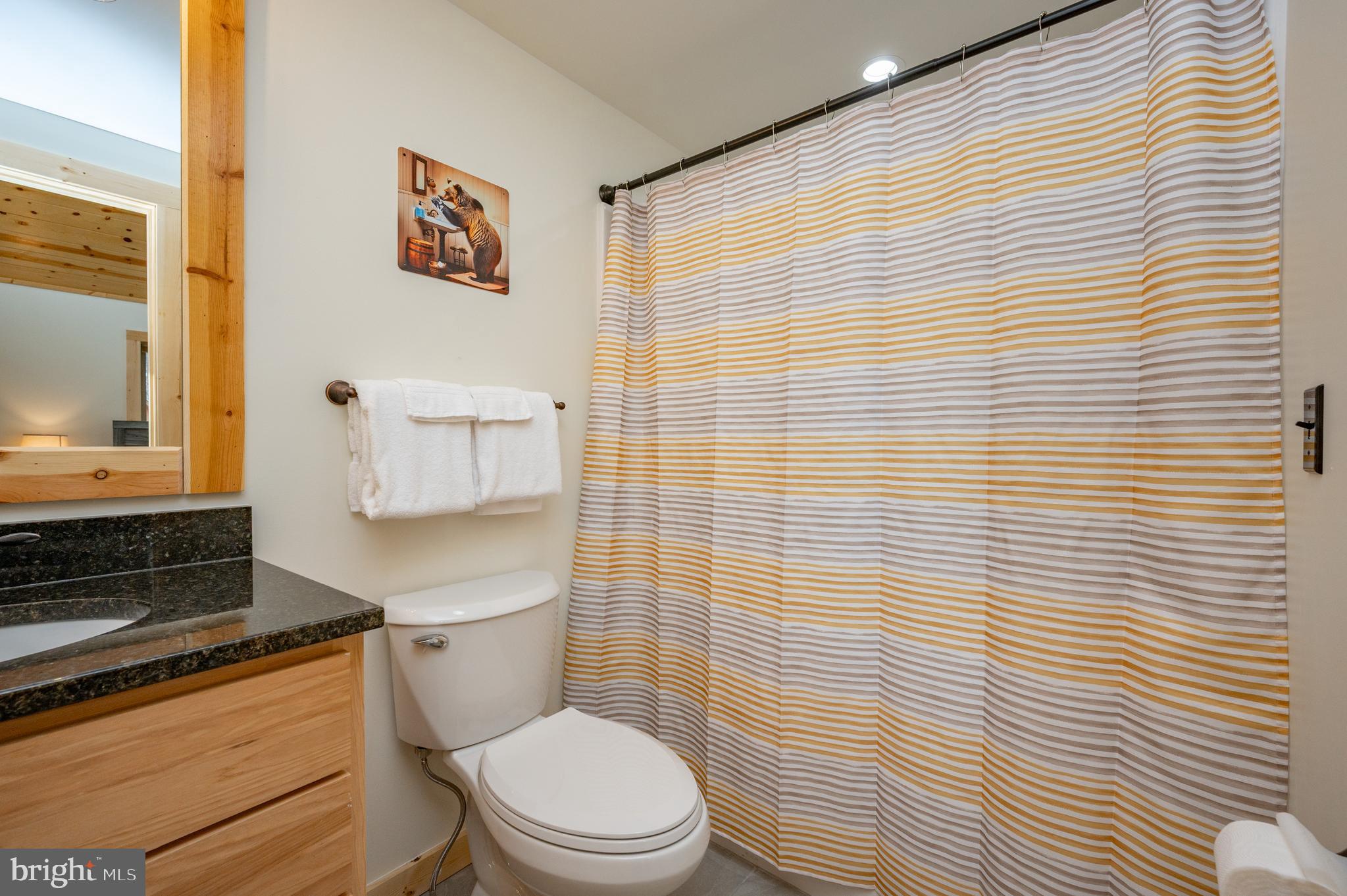 985 North Camp Road McHenry, MD 21541 - Photo 34 of 70