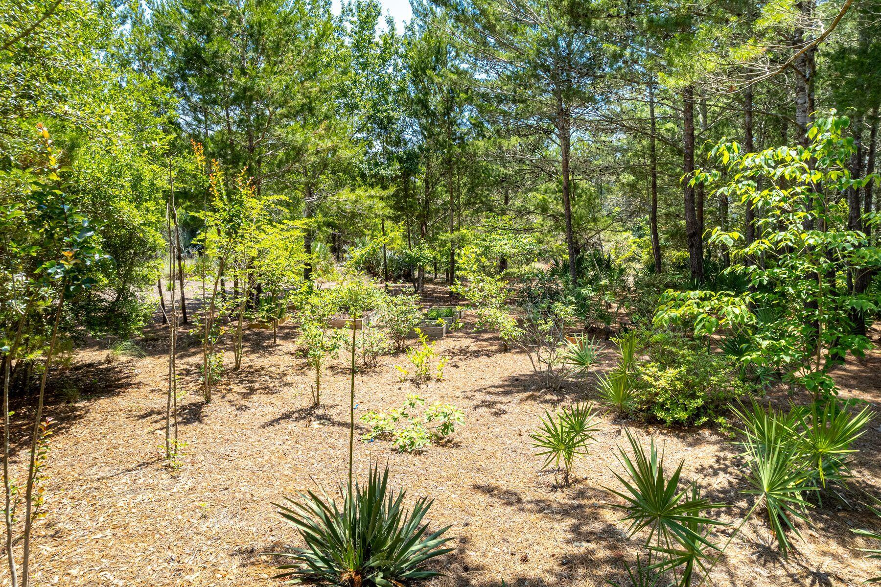 Lot 7 Shore Bridge Circle Watersound, FL 32461 - Photo 12 of 14 a view of yard