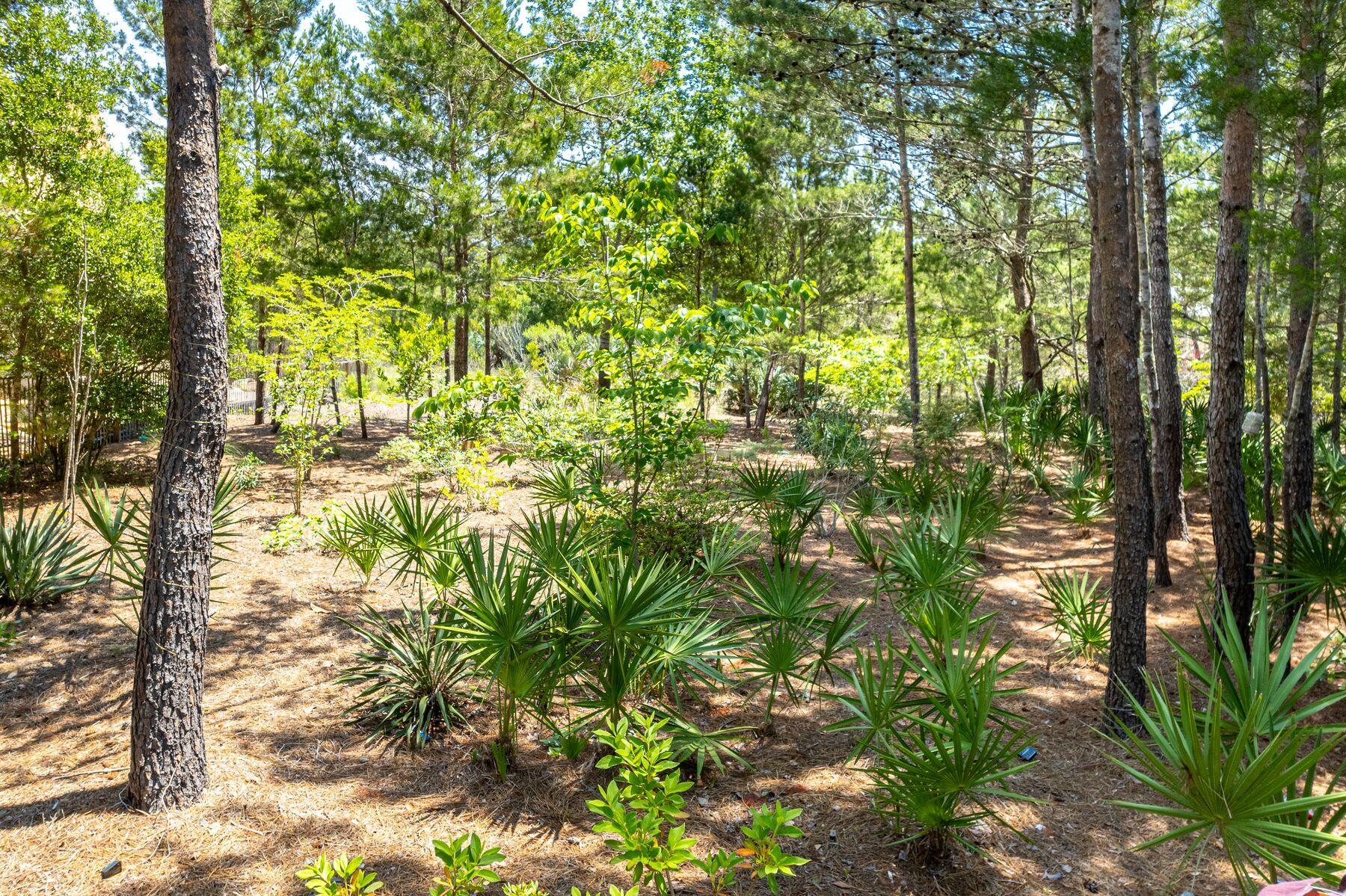 Lot 7 Shore Bridge Circle Watersound, FL 32461 - Photo 3 of 14 a backyard of a house with lots of trees