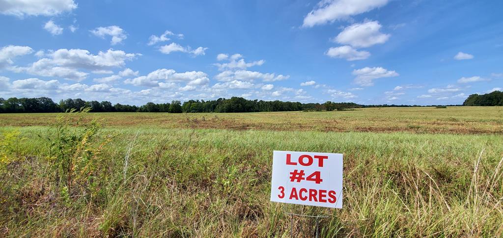3-acres 3-acres Singletary Road Dothan, AL 36301 - Photo 1 of 1