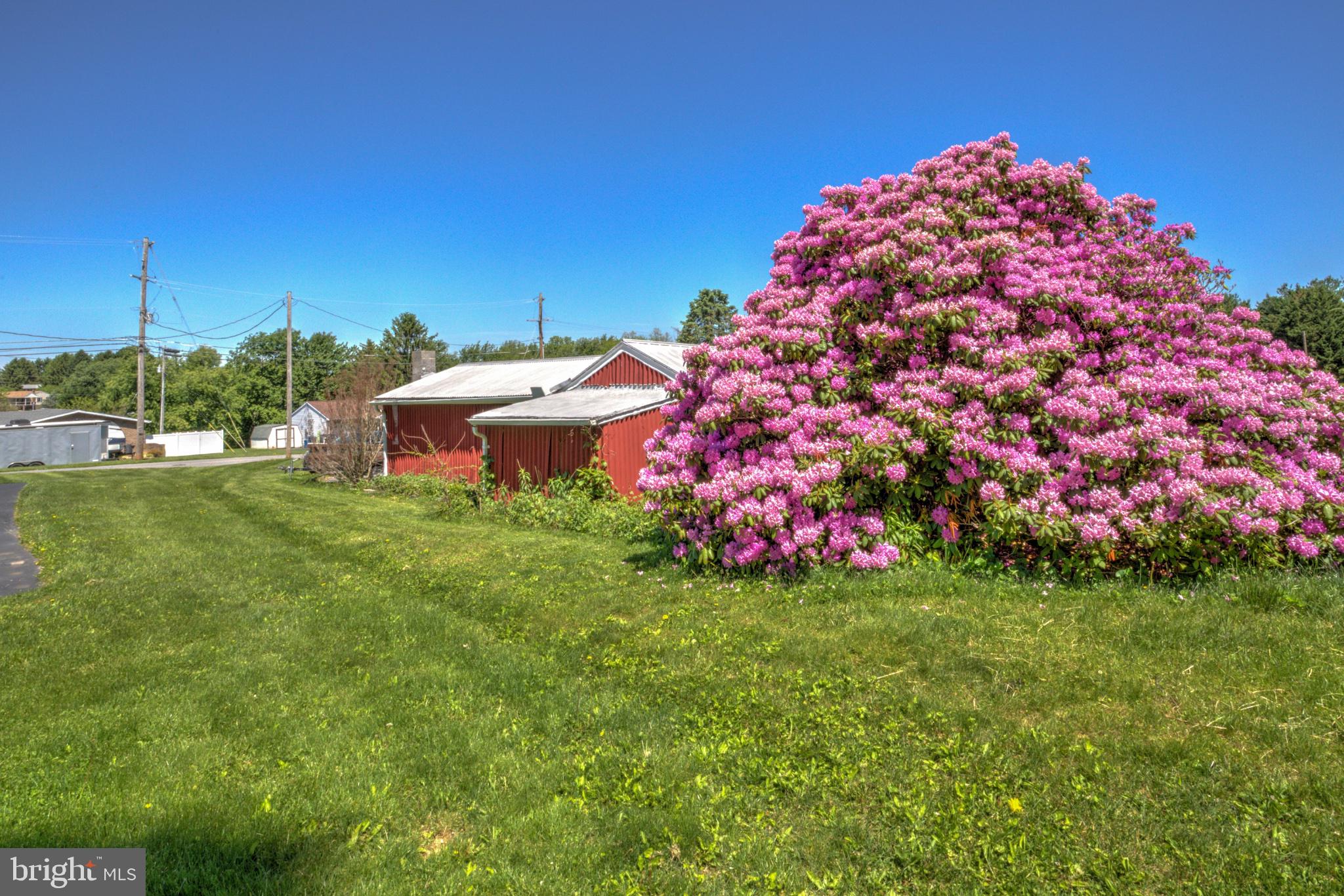 3472 Messersmith Road York, PA 17408 - Photo 14 of 41 Vibrant blooms grace a sunny landscape.