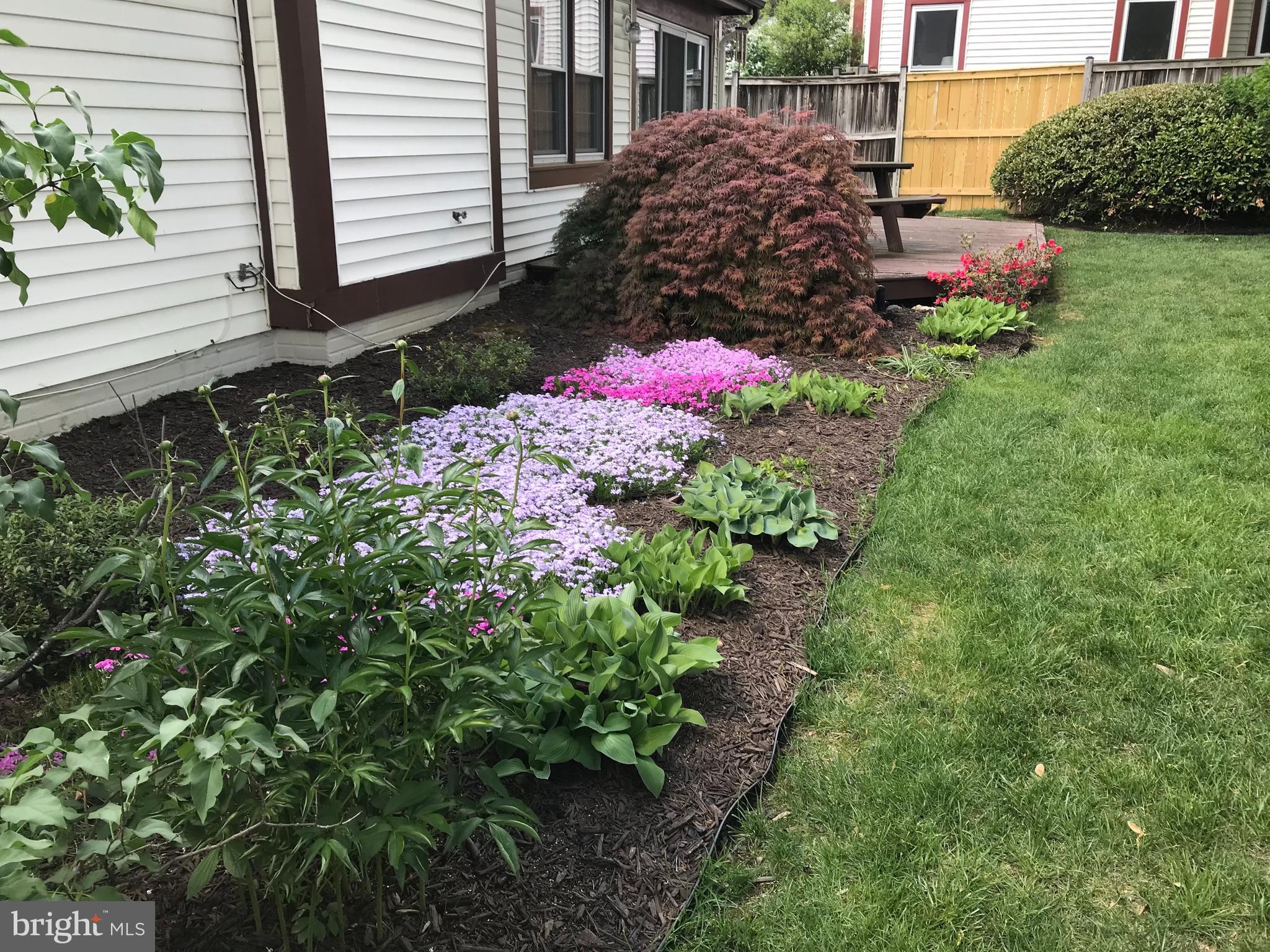 6730 Anders Terrace Springfield, VA 22151 - Photo 36 of 38 Garden provides year round color!