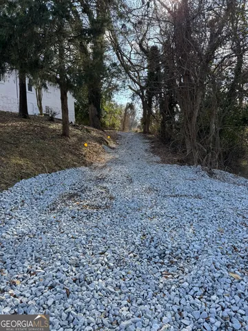 a view of a yard with a tree