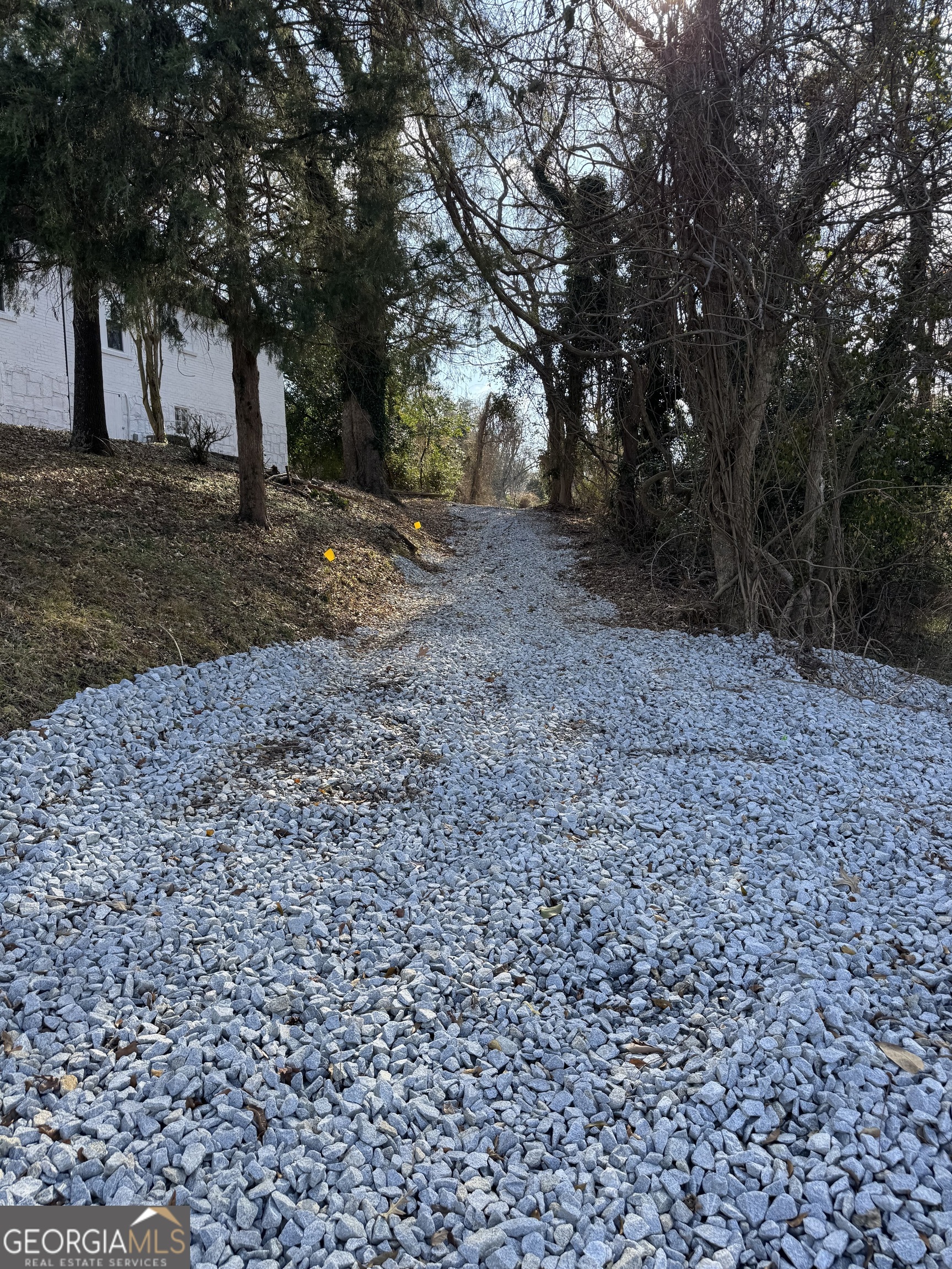 37 West Church Street Elberton, GA 30635 - Photo 23 of 37 a view of a yard with a tree