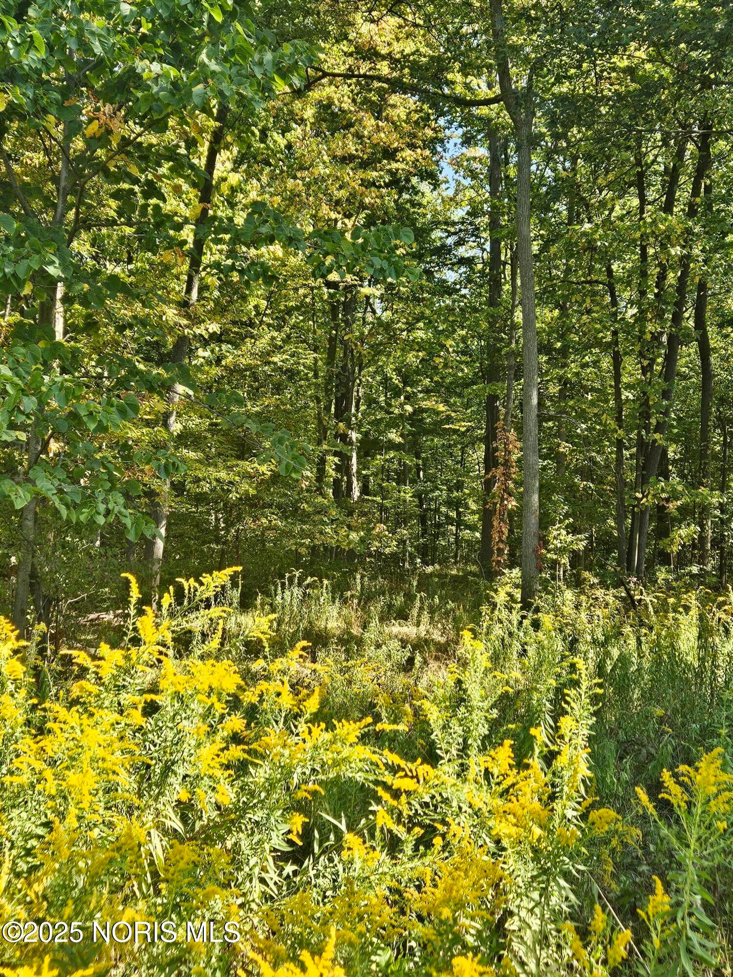 18 County Road East Bryan, OH 43506 - Photo 5 of 5 20250917_111306