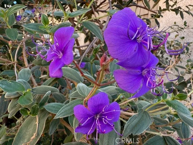 $429,900 | 3050 South Bristol, Unit 2C, Santa Ana, CA 92704