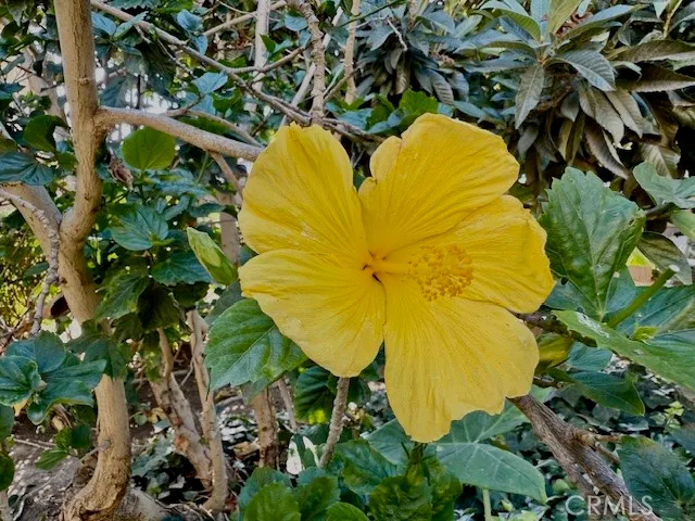 $429,900 | 3050 South Bristol, Unit 2C, Santa Ana, CA 92704