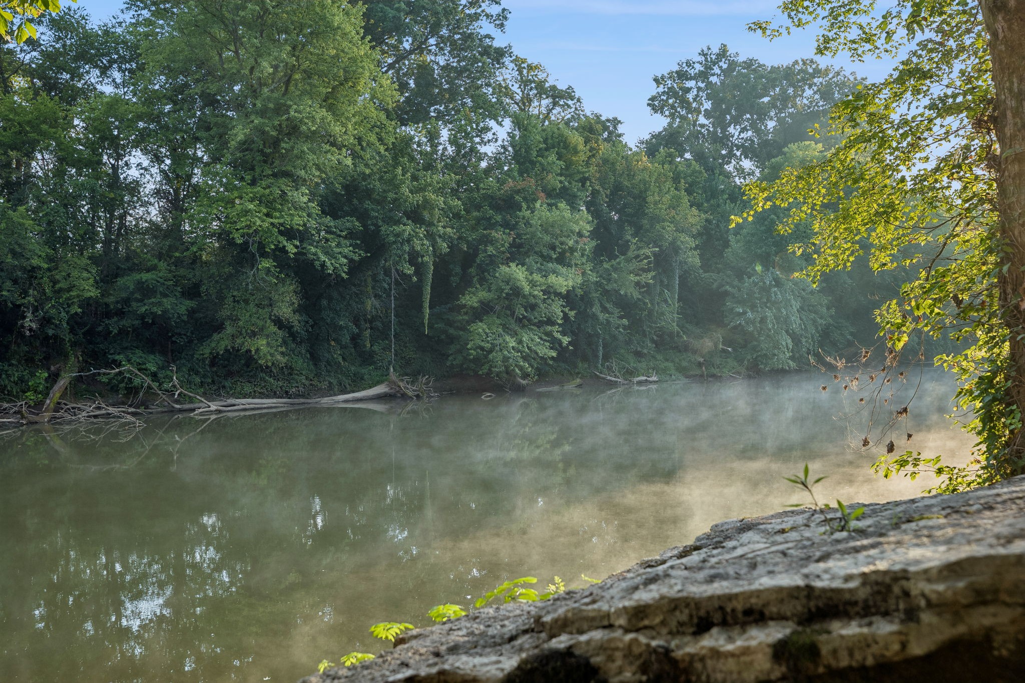 3680 Clark Road Lewisburg, TN 37091 - Photo 31 of 60 Gallery Image 31