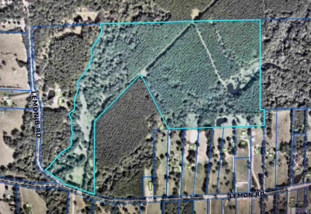 $1,750,000 | 7474 Lemon Road, Slaughter, LA 70777