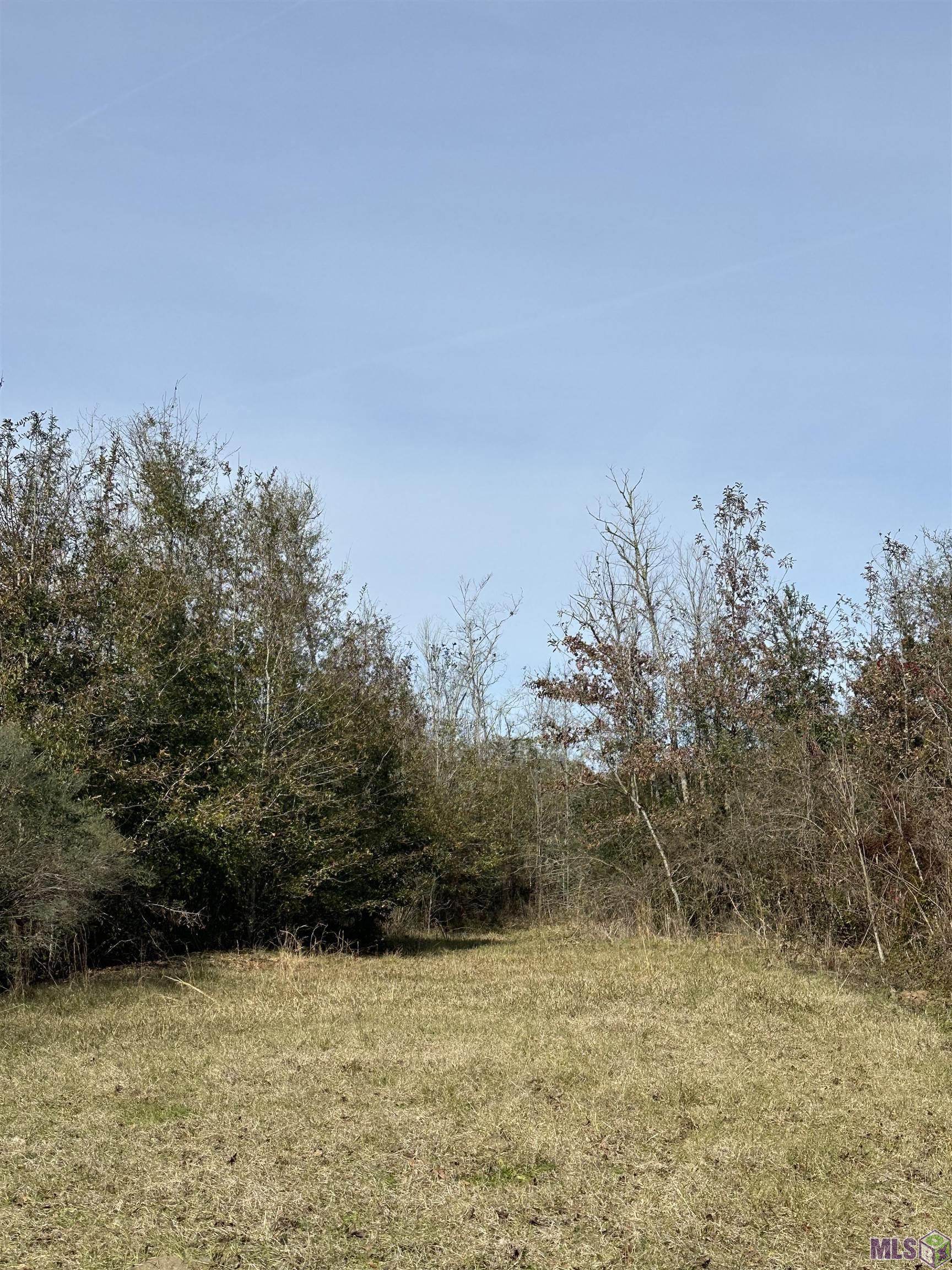 7474 Lemon Road Slaughter, LA 70777 - Photo 15 of 24