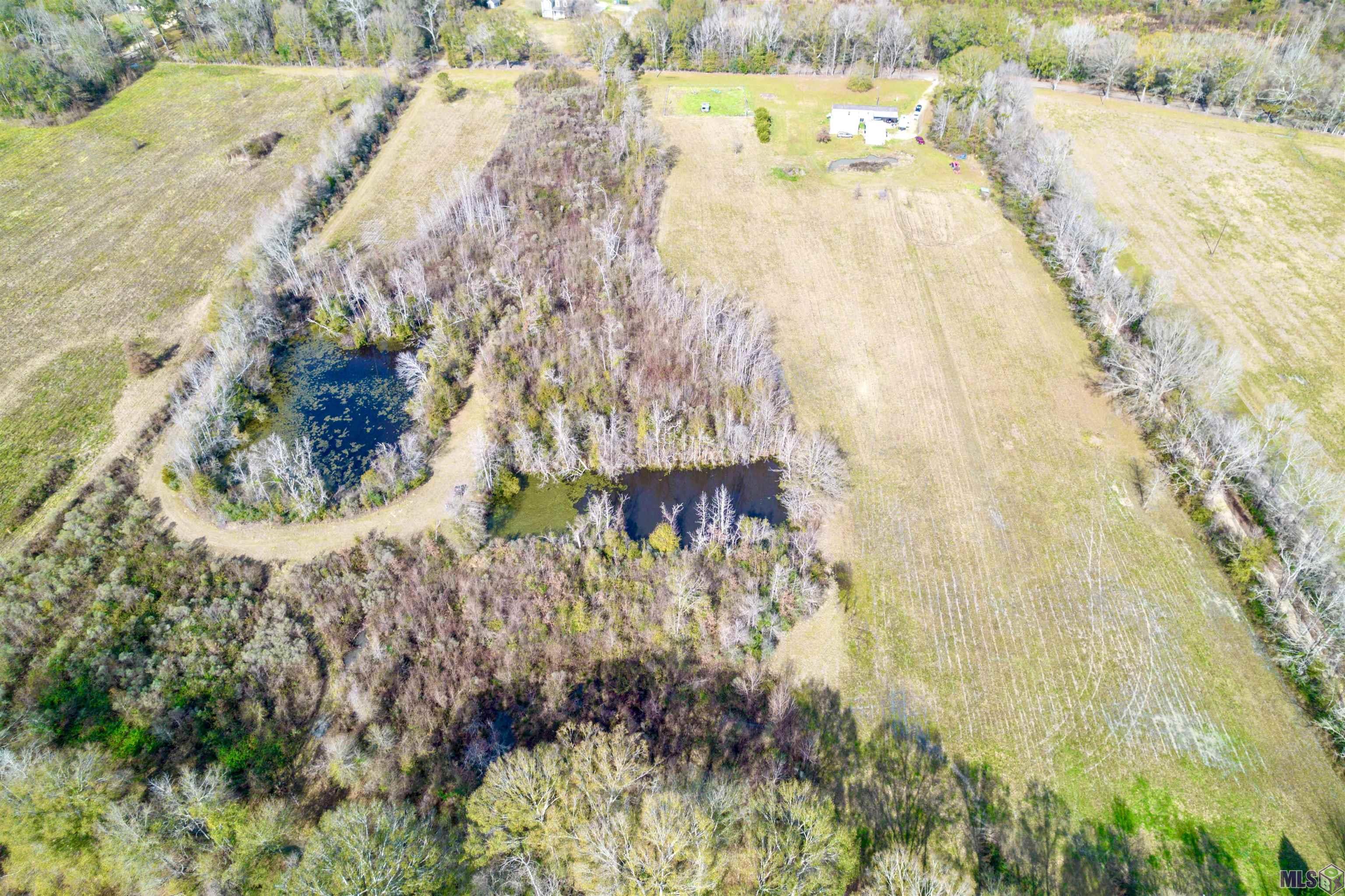 7474 Lemon Road Slaughter, LA 70777 - Photo 17 of 24