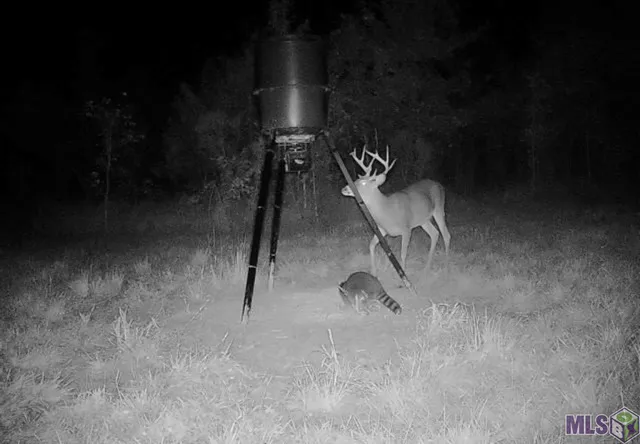 $1,750,000 | 7474 Lemon Road, Slaughter, LA 70777