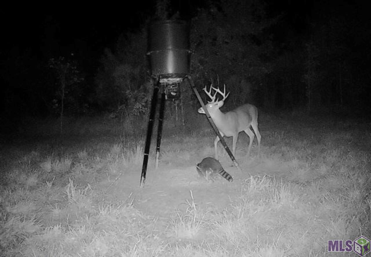 7474 Lemon Road Slaughter, LA 70777 - Photo 20 of 24