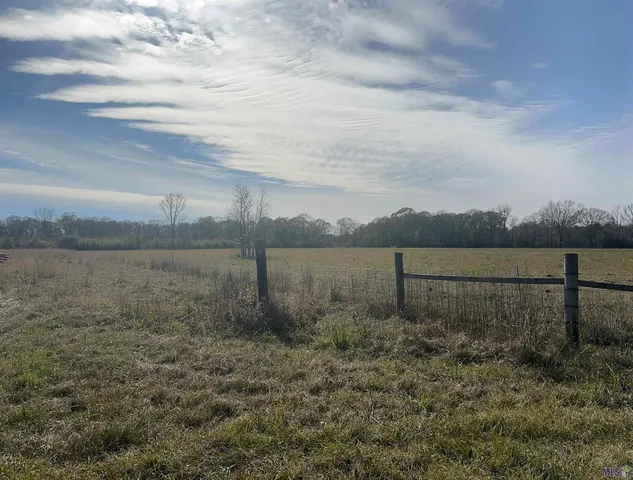 $1,750,000 | 7474 Lemon Road, Slaughter, LA 70777