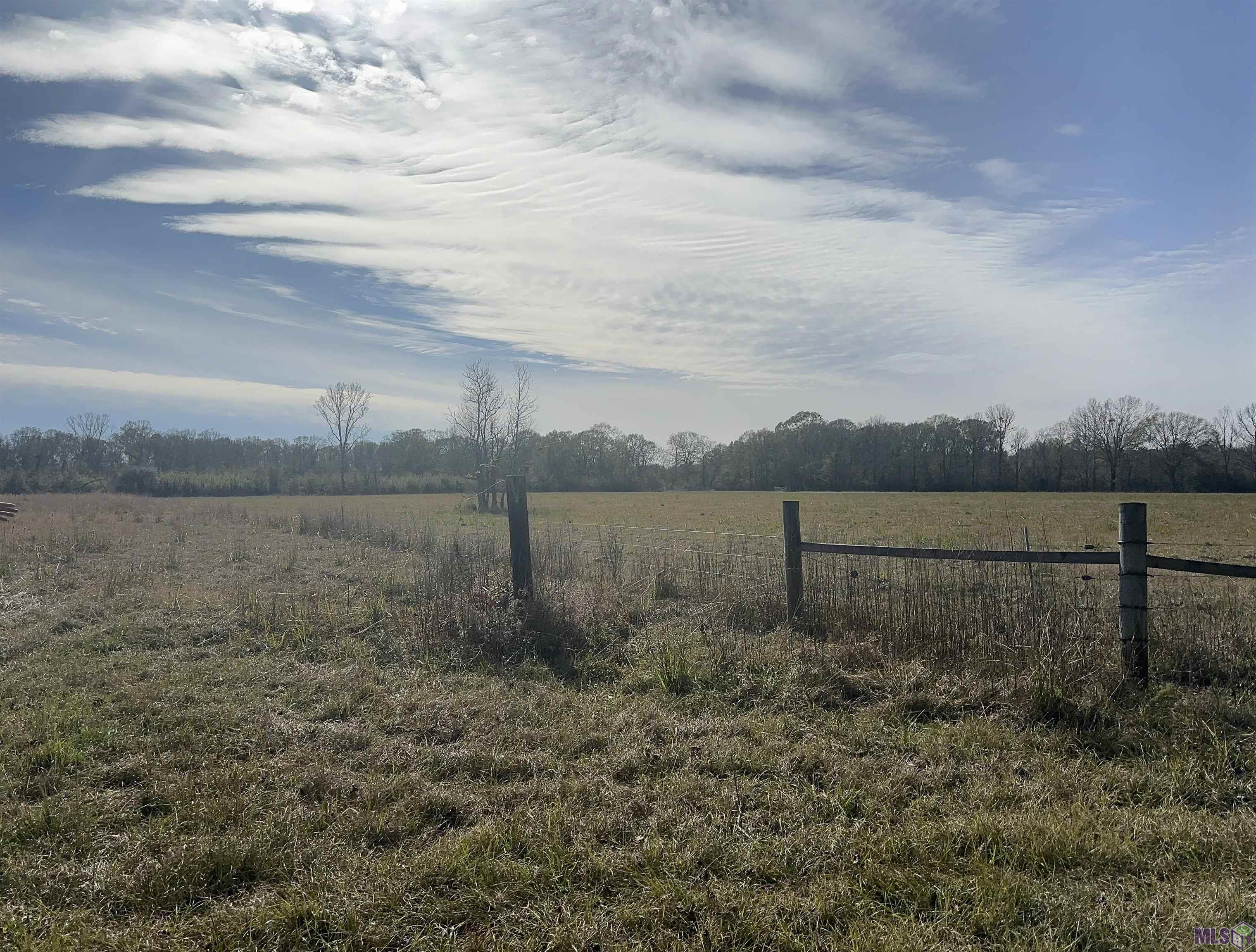 7474 Lemon Road Slaughter, LA 70777 - Photo 2 of 24