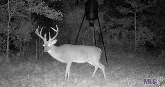 $1,750,000 | 7474 Lemon Road, Slaughter, LA 70777