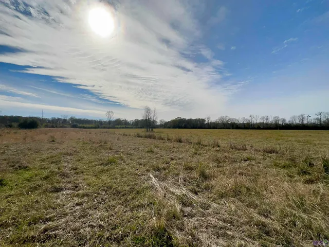 $1,750,000 | 7474 Lemon Road, Slaughter, LA 70777