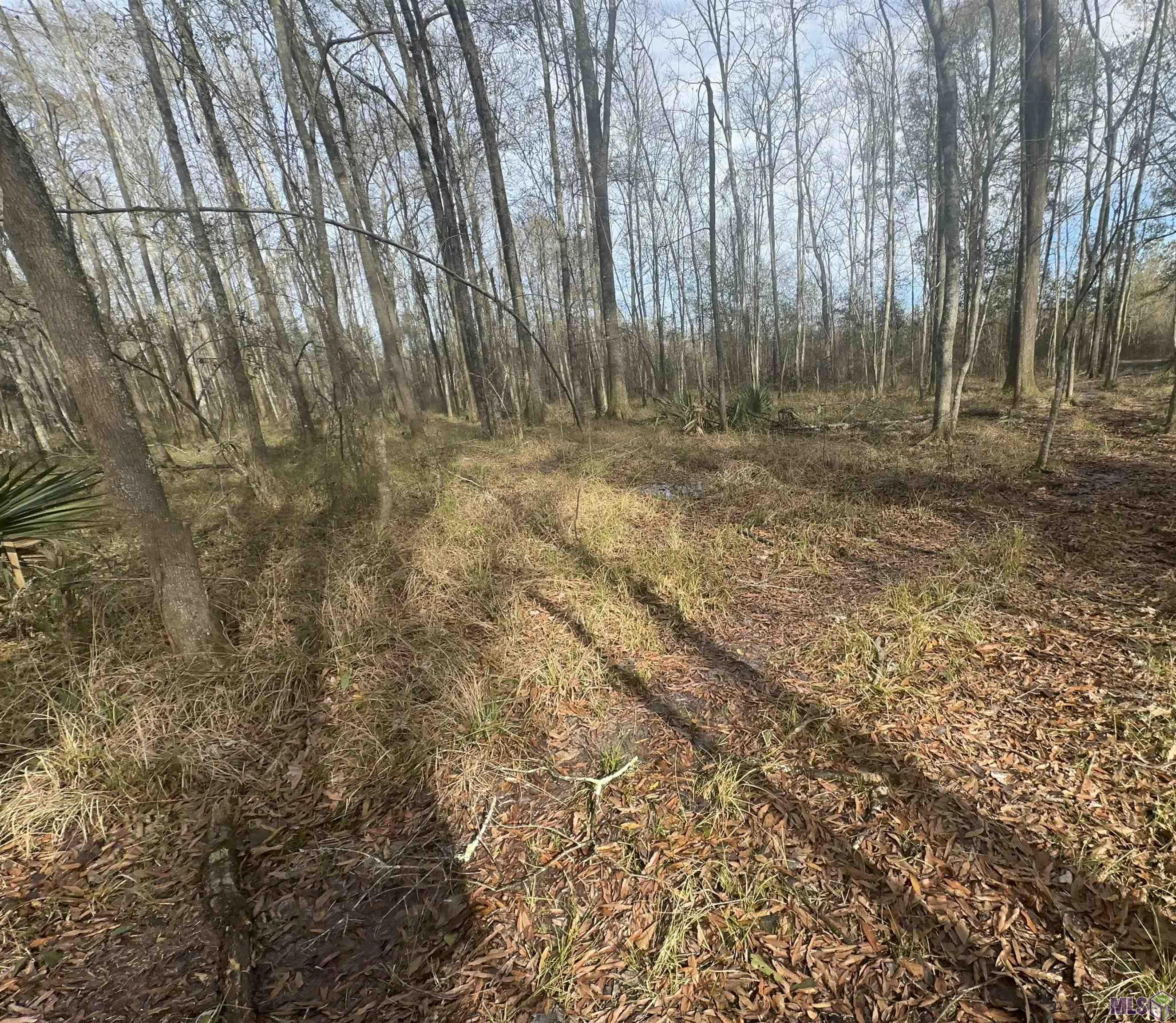 7474 Lemon Road Slaughter, LA 70777 - Photo 4 of 24