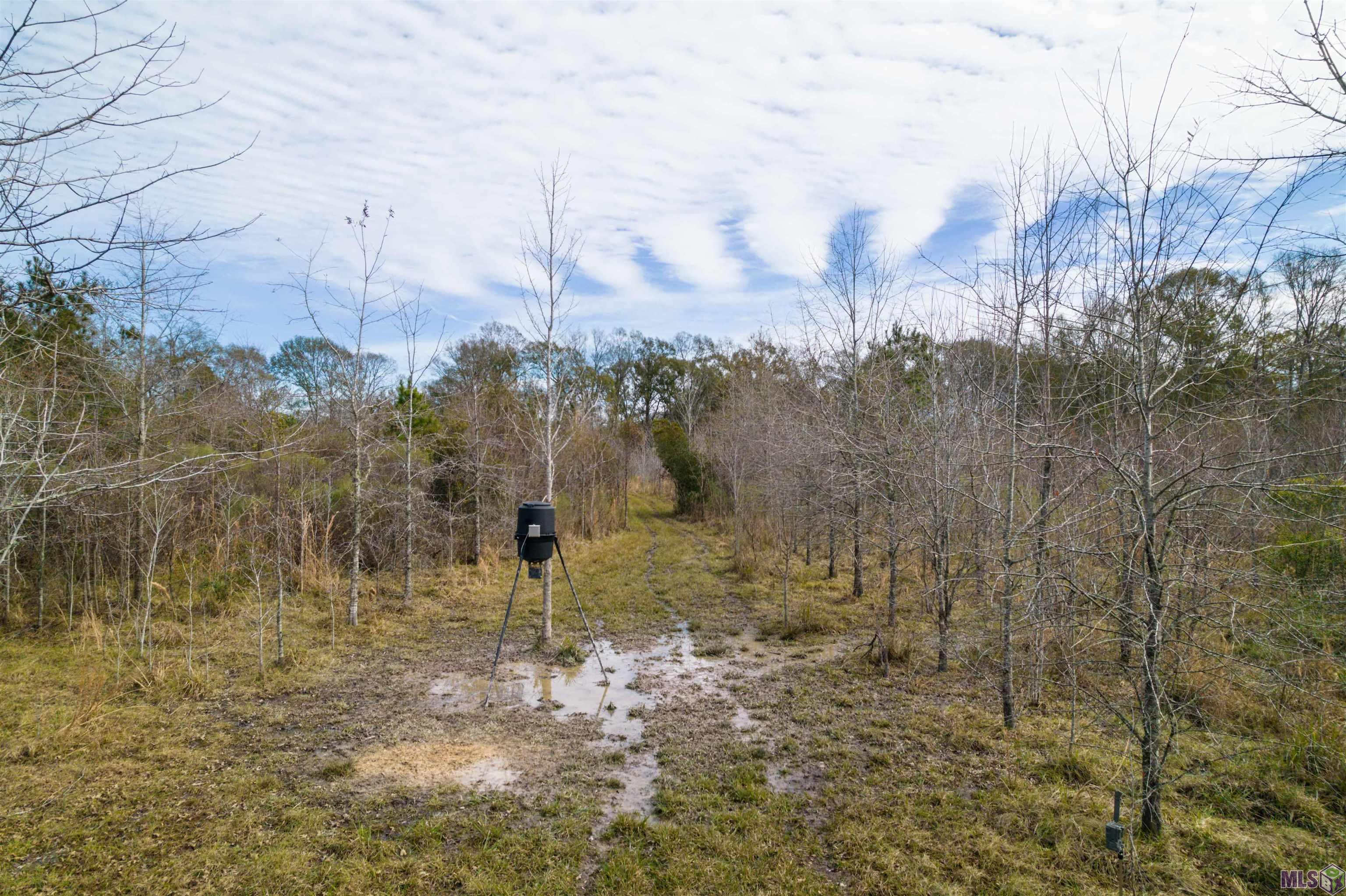 7474 Lemon Road Slaughter, LA 70777 - Photo 5 of 24