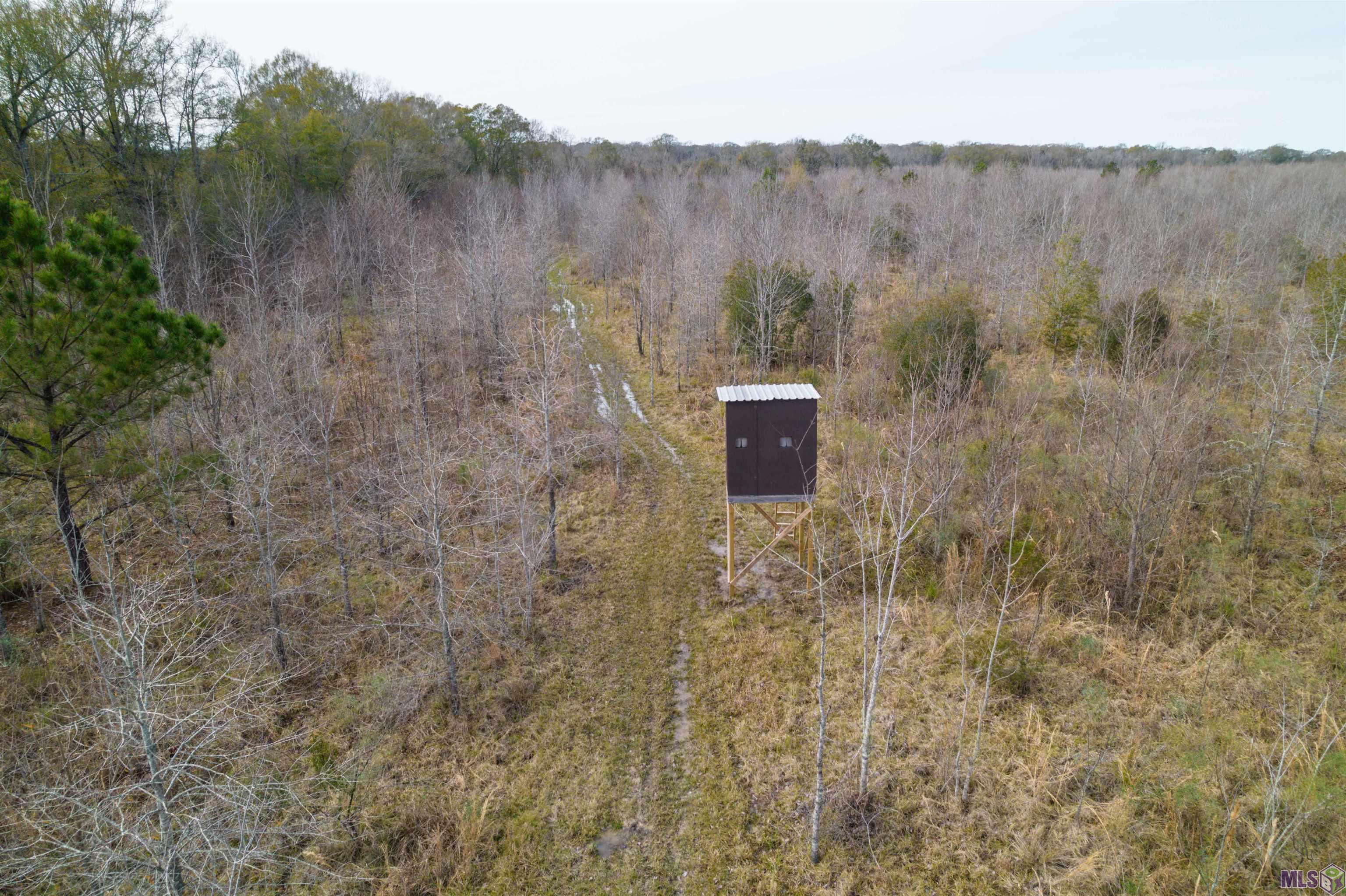 7474 Lemon Road Slaughter, LA 70777 - Photo 6 of 24