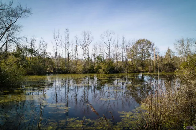 $1,750,000 | 7474 Lemon Road, Slaughter, LA 70777