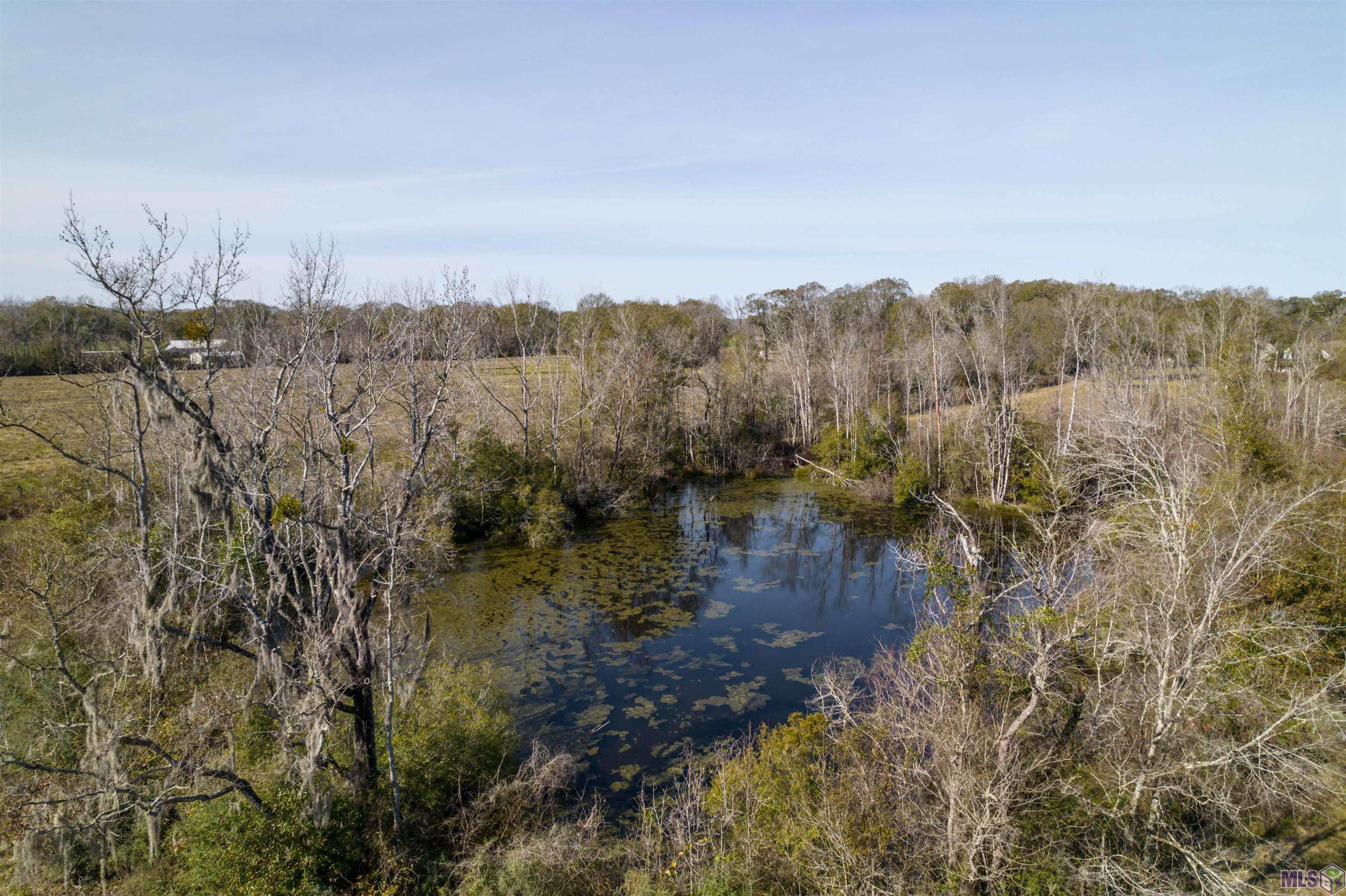 7474 Lemon Road Slaughter, LA 70777 - Photo 10 of 24