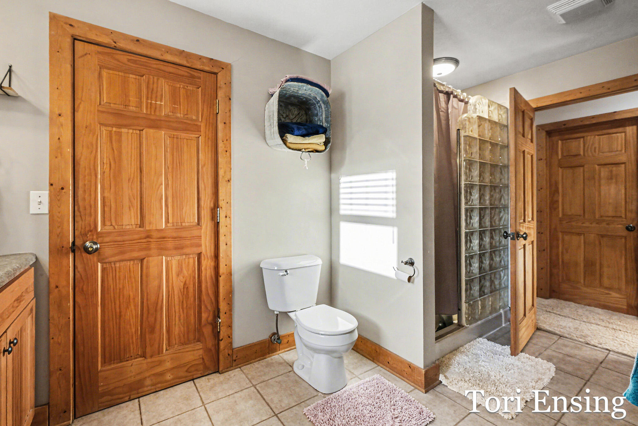 8893 Lakeview Drive Fenwick, MI 48834 - Photo 13 of 28 DSCF7731