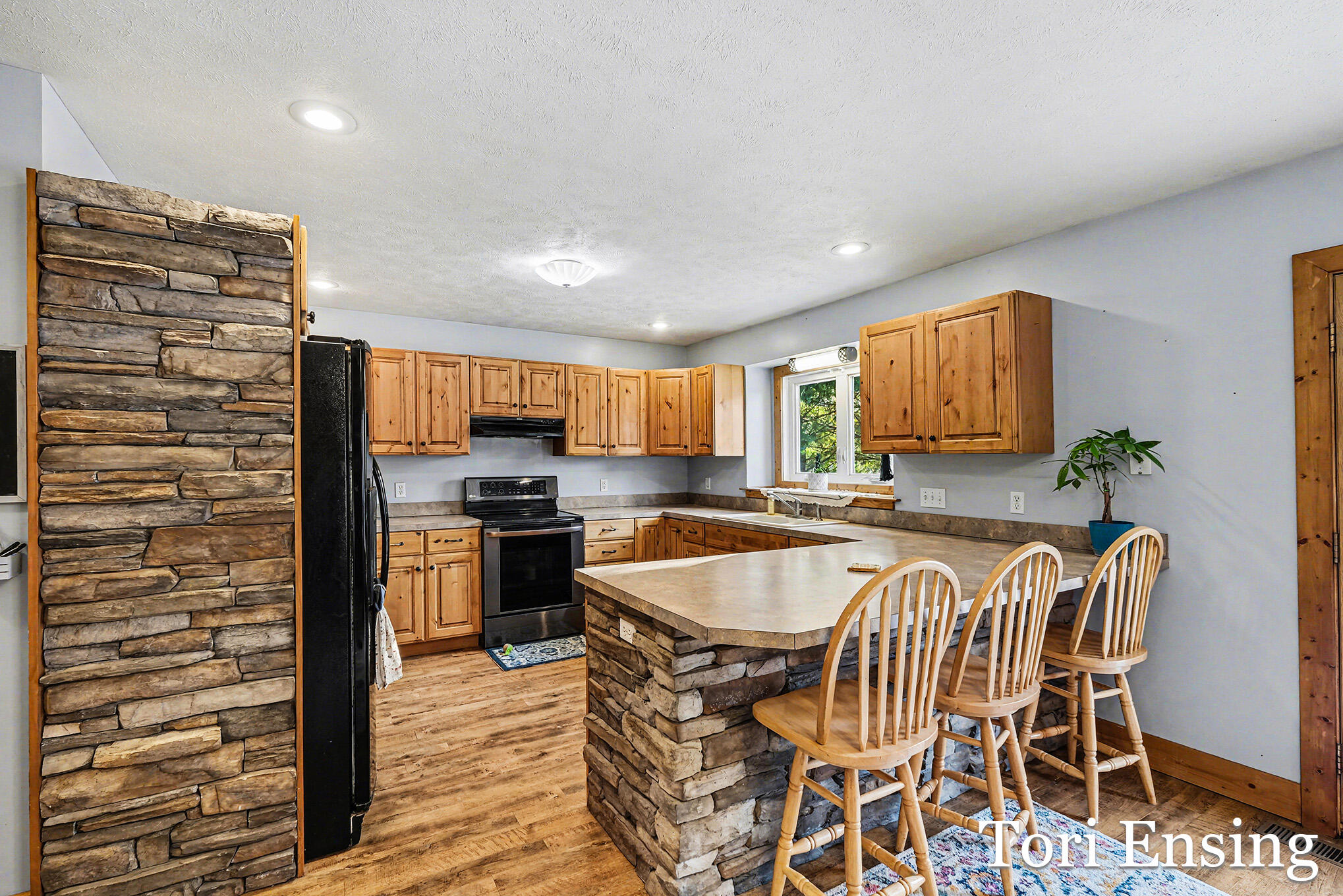 8893 Lakeview Drive Fenwick, MI 48834 - Photo 7 of 28 DSCF7697