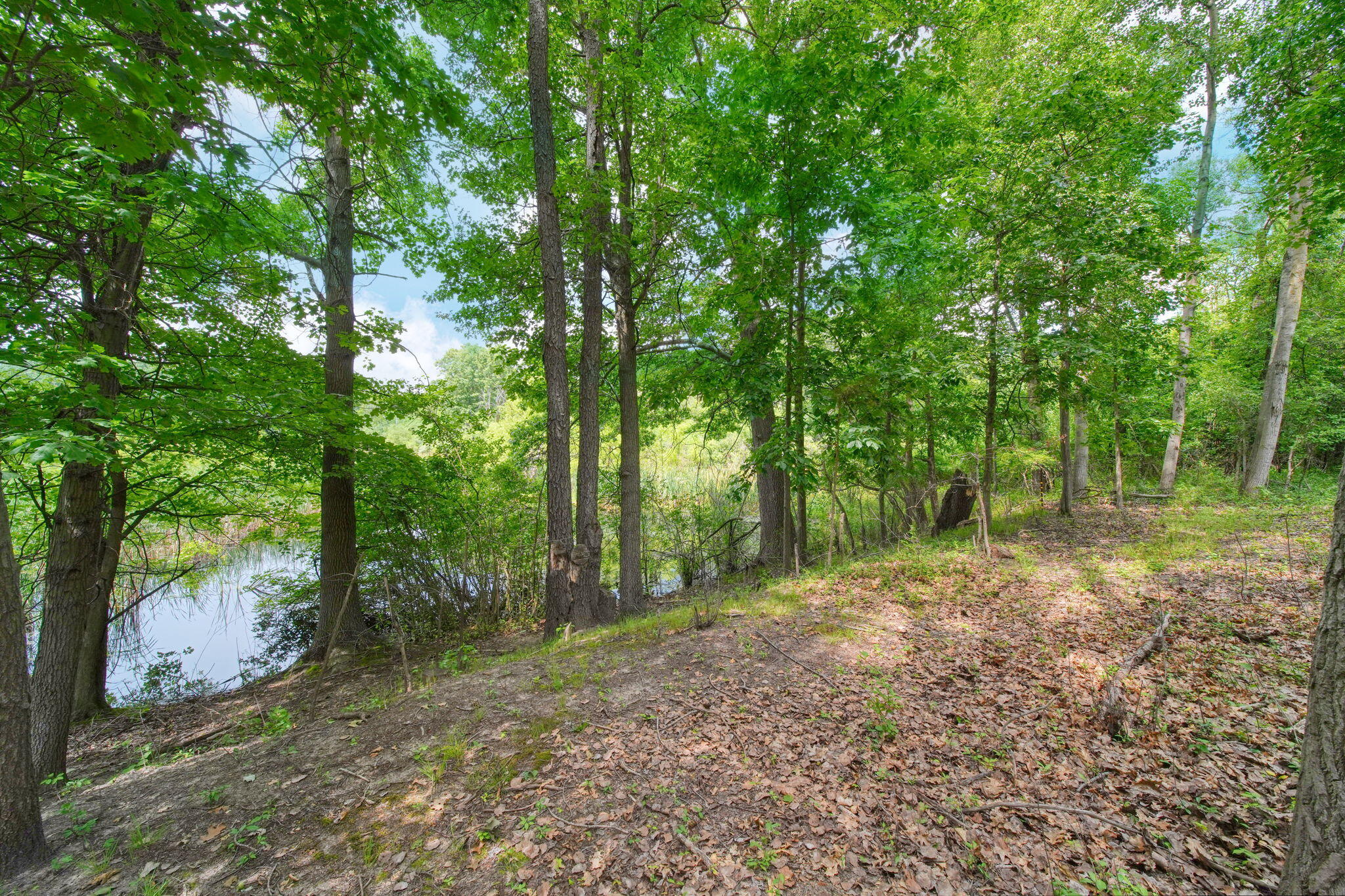3930 Hoyer Road Jackson, MI 49201 - Photo 37 of 53 36
