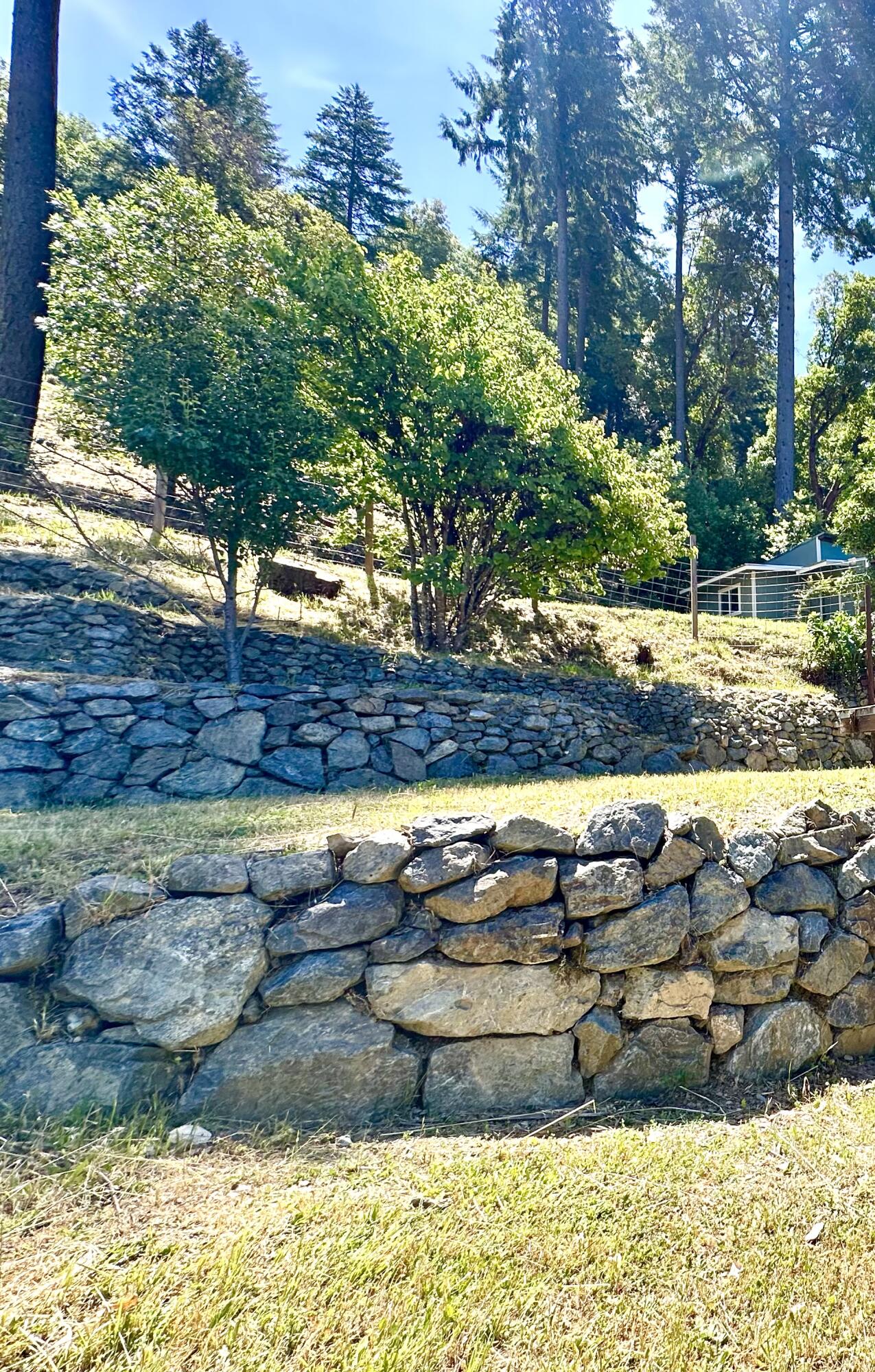 1665 Seeley Mc Intosh Road Willow Creek, CA 95573 - Photo 63 of 76