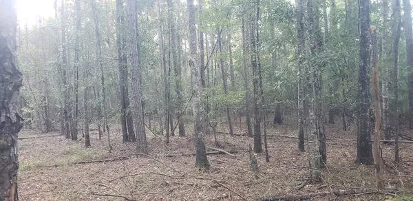 $100,249 | 3134 Highway 98, Summit, MS 39666