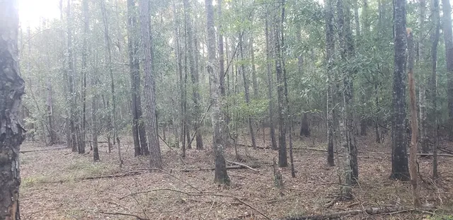 $100,249 | 3134 Highway 98, Summit, MS 39666