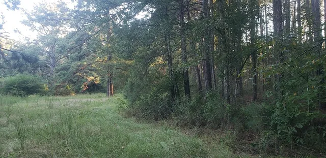 $100,249 | 3134 Highway 98, Summit, MS 39666