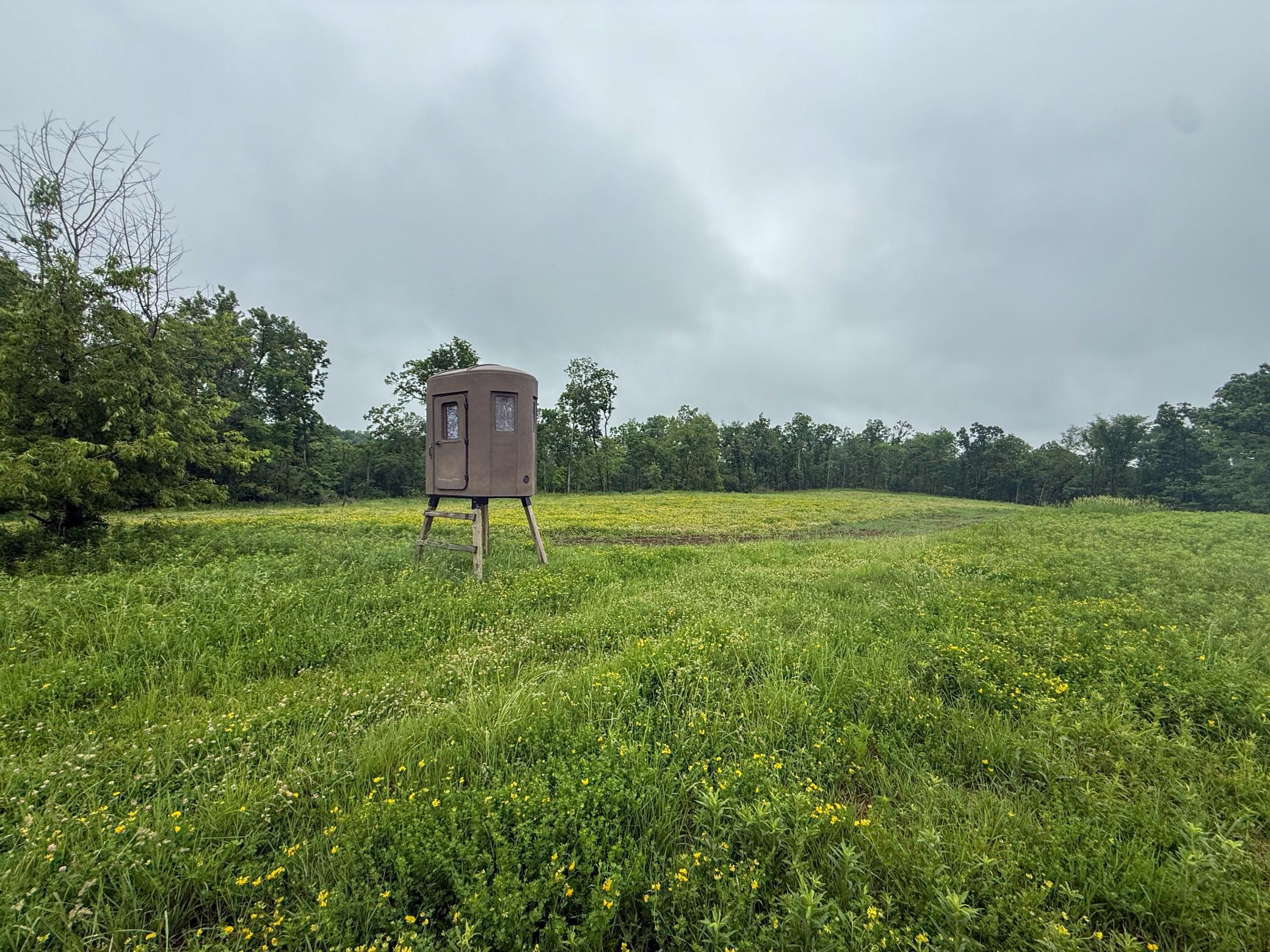 11719 Ridgeview Road Hokah, MN 55941 - Photo 67 of 90