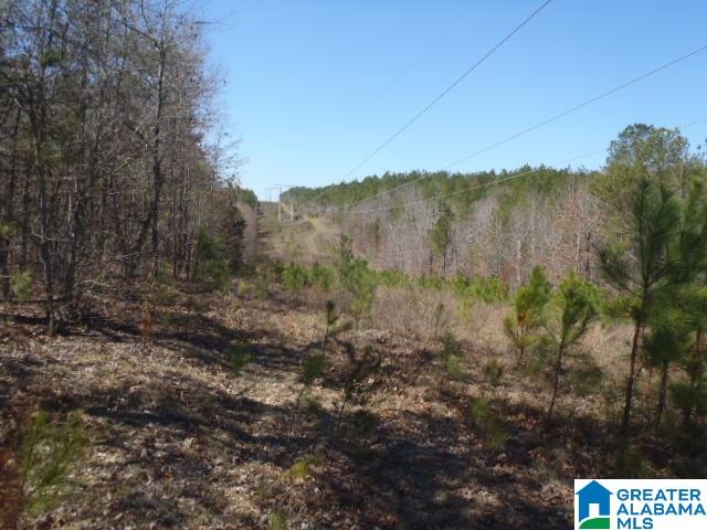 0 Shocco Springs Road, Unit 40 5 AC Talladega, AL 35160 - Photo 6 of 30