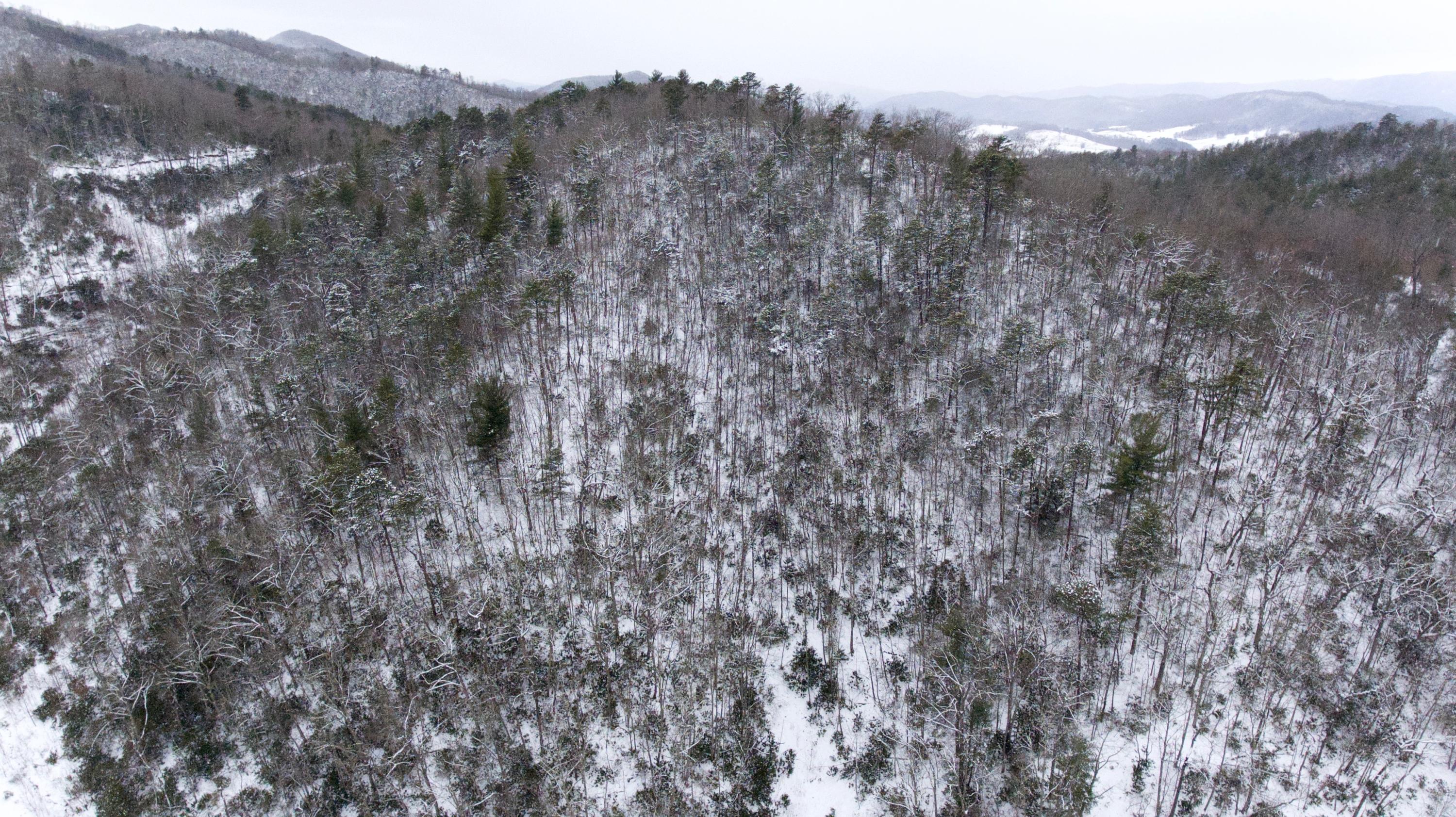 Laurel Road Mountain City, TN 37683 - Photo 1 of 6 DJI_0003