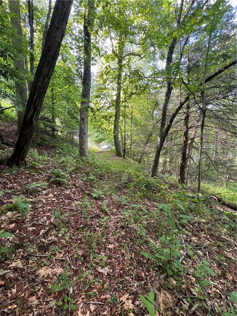 Cedar Lane Boone, NC 28607 - Photo 10 of 12