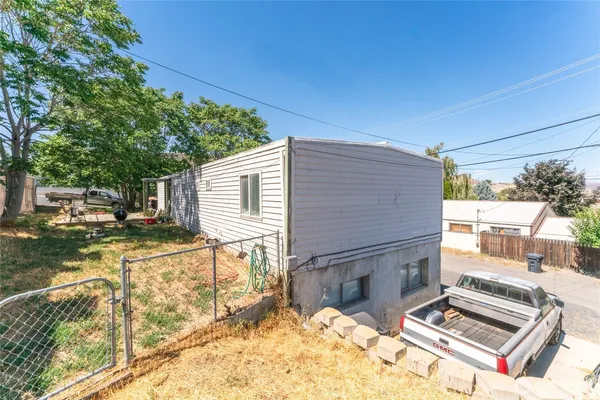 a view of backyard with a large tree