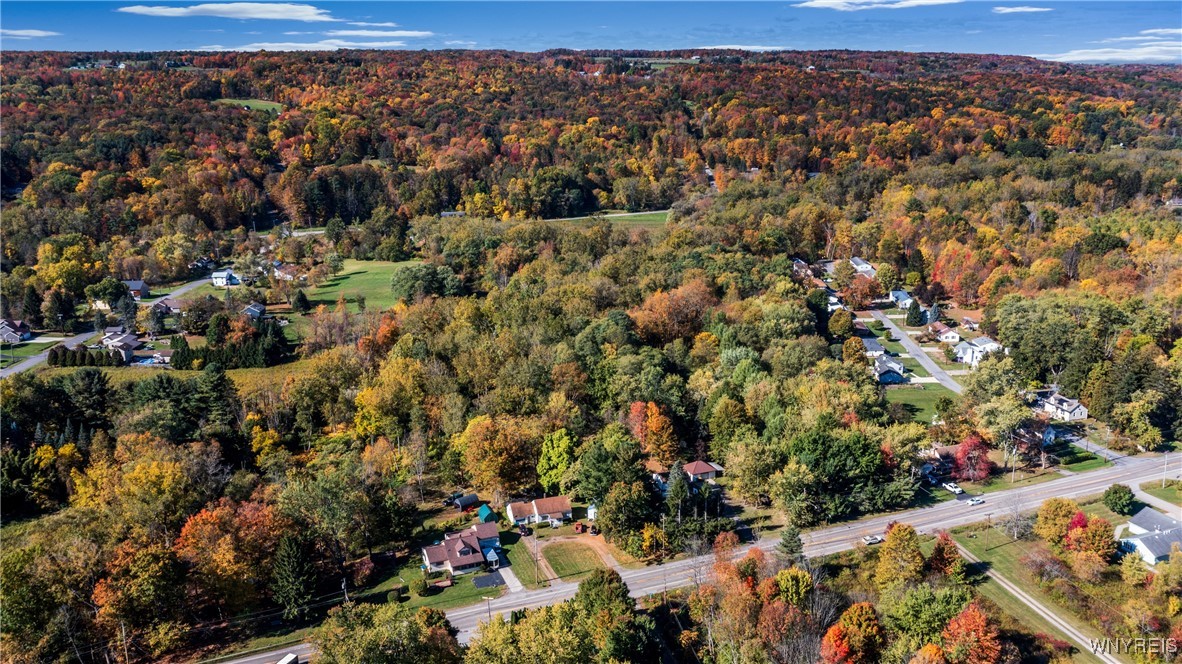 8202 Boston State Road Boston, NY 14075 - Photo 19 of 20