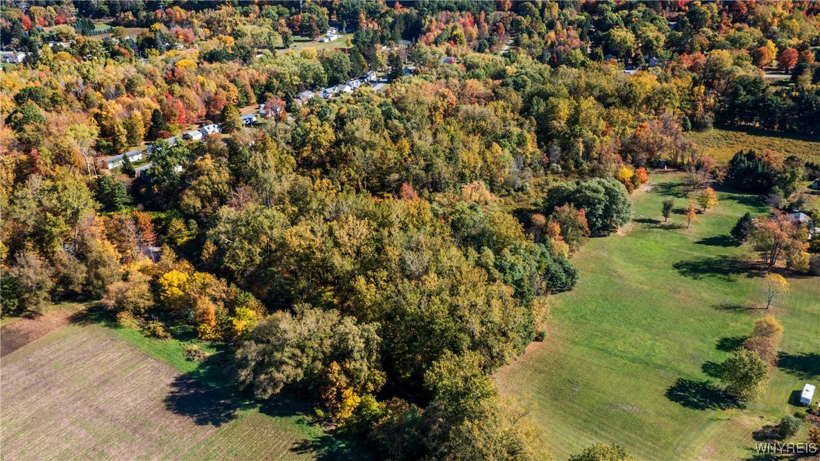 8202 Boston State Road Boston, NY 14075 - Photo 7 of 20