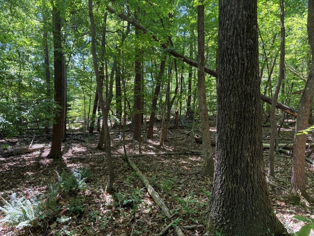 0 Salem Church Road Reidsville, NC 27320 - Photo 19 of 19