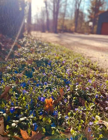 $485,000 | 6330 Timberland Drive, Fruitport, MI 49415