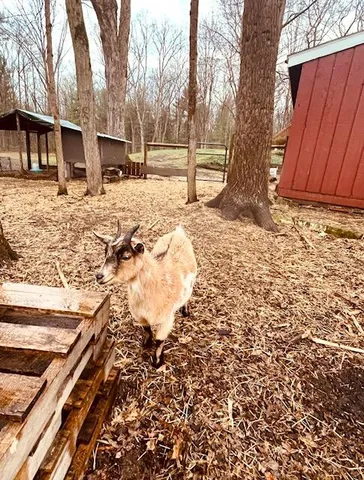 $485,000 | 6330 Timberland Drive, Fruitport, MI 49415