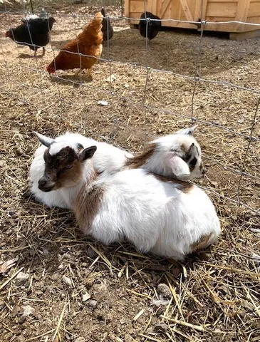 $485,000 | 6330 Timberland Drive, Fruitport, MI 49415