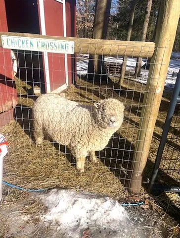 $485,000 | 6330 Timberland Drive, Fruitport, MI 49415