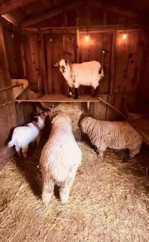 $485,000 | 6330 Timberland Drive, Fruitport, MI 49415