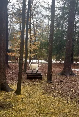 $485,000 | 6330 Timberland Drive, Fruitport, MI 49415